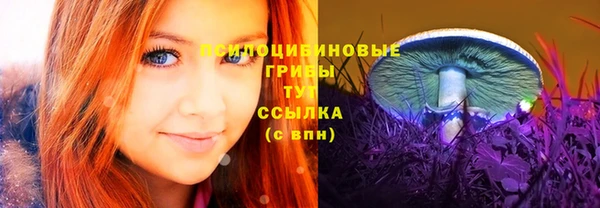 ECSTASY Киреевск